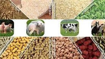 أهم 3 دول تستورد صادرات الأغلفة الحيوانية المصرية 