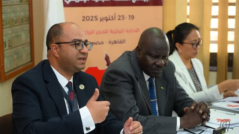 الورشة التدريبية