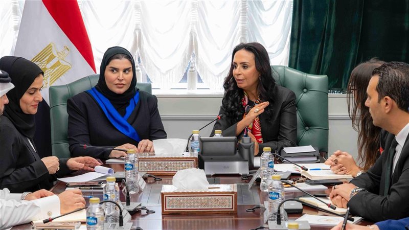 وزارة التضامن الاجتماعي،فيتو