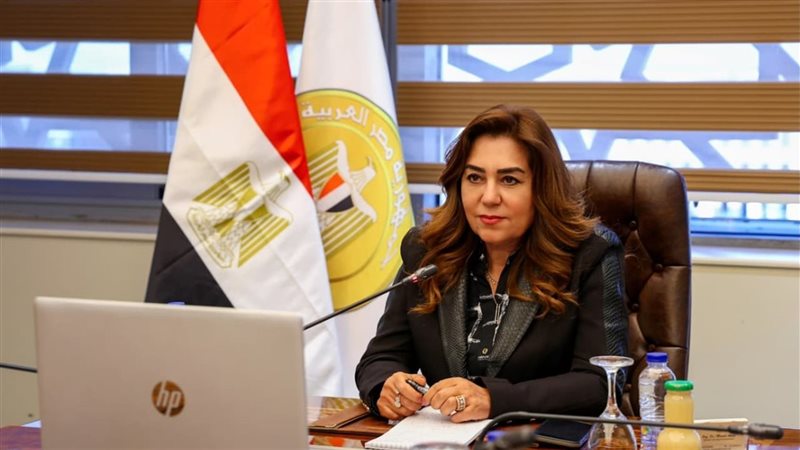 منال عوض، فيتو