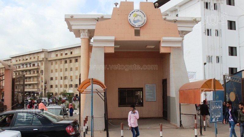 جامعة بني سويف، فيتو