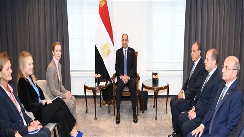 الرئيس عبدالفتاح