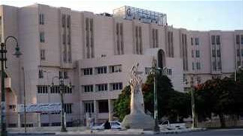 جامعة الإسكندرية