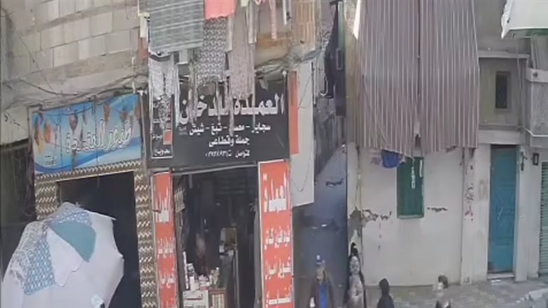 الاسكندريه 