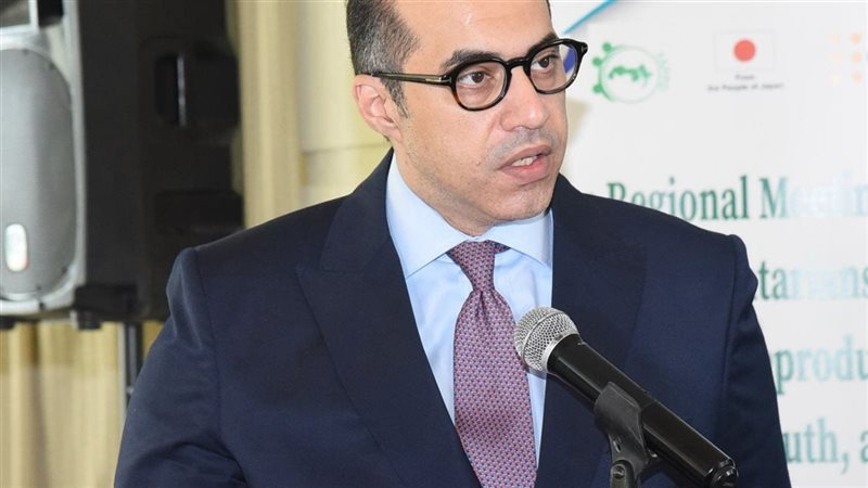 وزير الشئون النيابية
