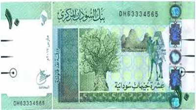  سعر الدولار في بنك السودان المركزي اليوم السبت