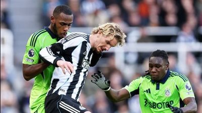 الدوري الإنجليزي، نيوكاسيل يخطف فوزا مثيرا من فولهام بنتيجة 2-1