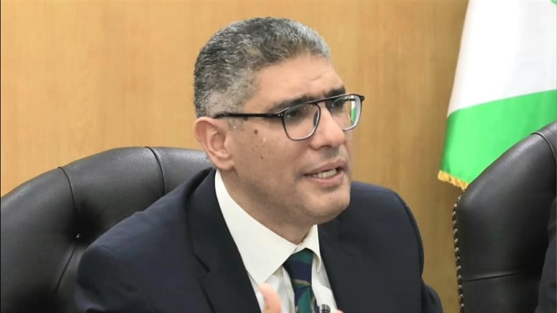 محافظ الجيزة 