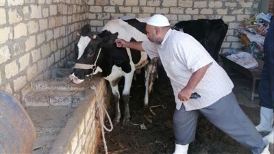 انطلاق الحملة الثالثة للتحصين ضد الحمى القلاعية والوادي المتصدع بالإسماعيلية