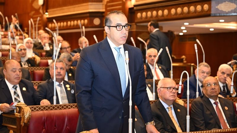 وزير الشؤون النيابية،