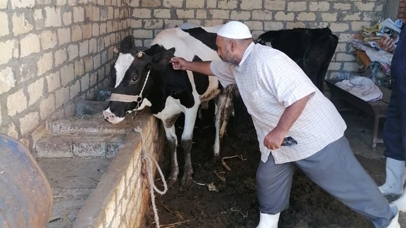 جانب من أعمال التحصين،