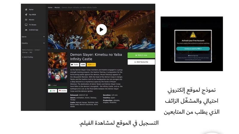 الحملات الاحتيالية،