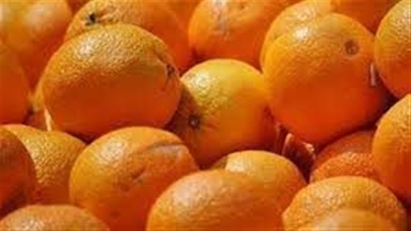 تفسير رؤية البرتقال