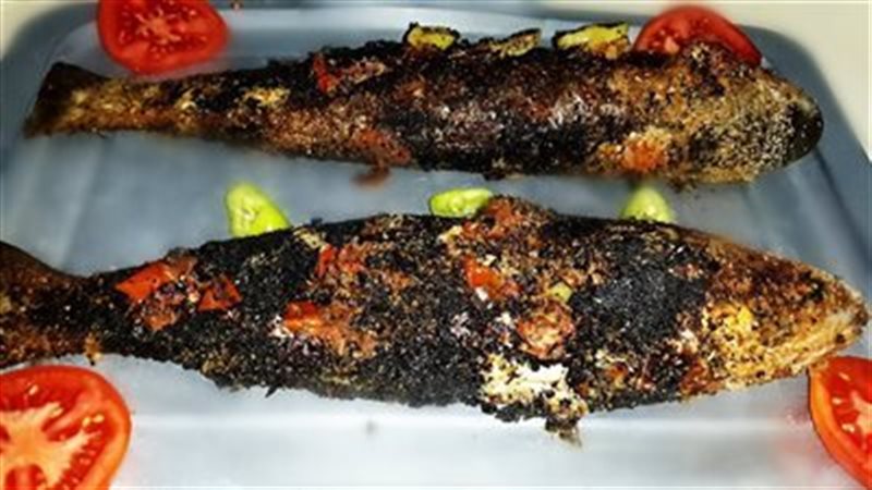 السمك البوري 