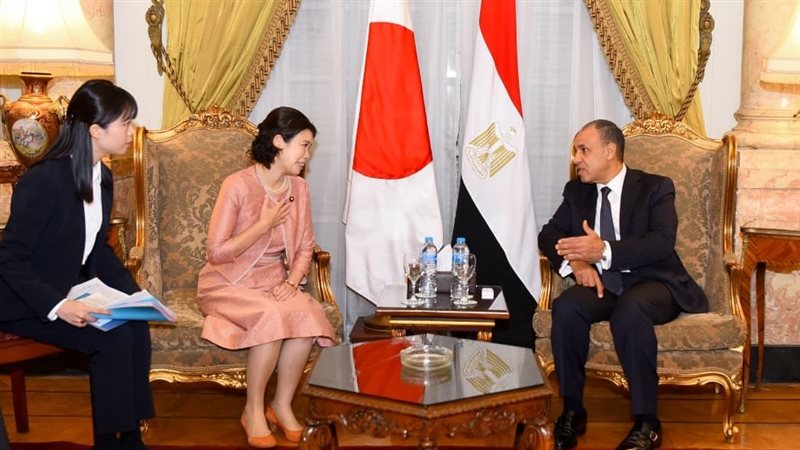 عبدالعاطي يستقبل