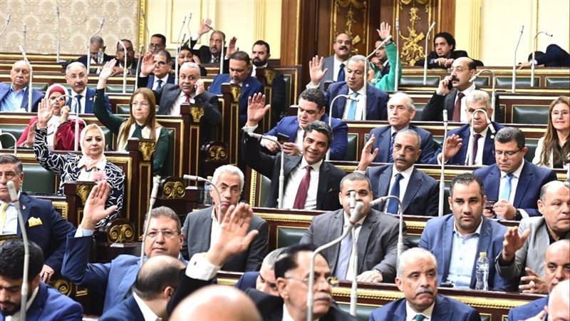 مجلس النواب، فيتو
