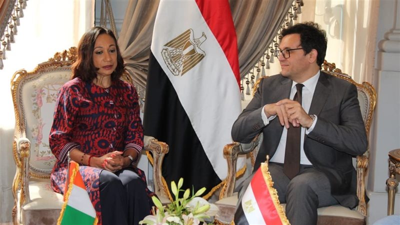 وزير الثقافة يلتقي