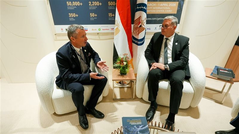 المهندس كريم بدوي