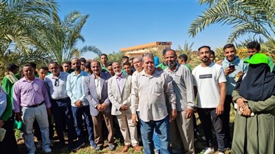 الزراعة: تدريب 660 طالبًا لمكافحة سوسة النخيل وتوعية مزارعي القمح بالآفات في 24 محافظة