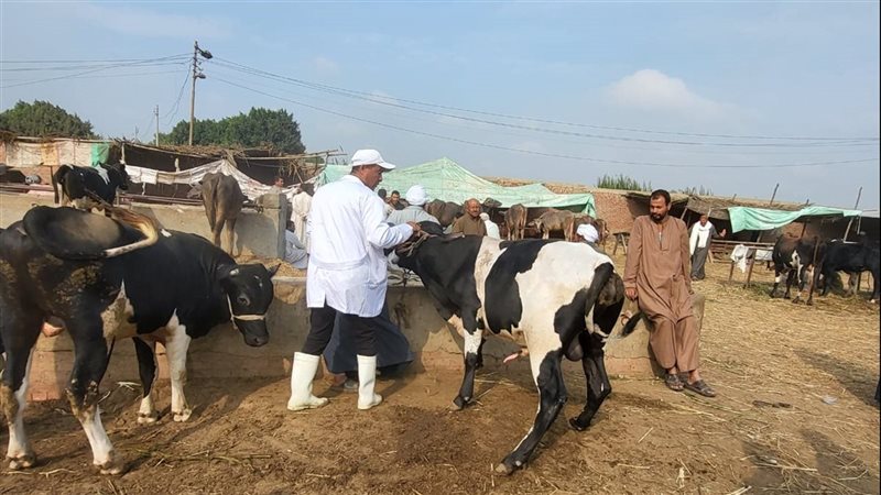الحملة القومية لتحصين