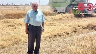 بعد رفضه من الزراعة، مبتكر قمح عرابي يطالب بتشكيل لجنة تسجيل محايدة بإشراف جهاز مستقبل مصر