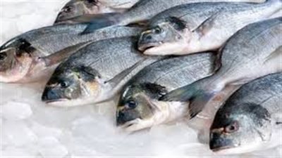تفسير حلم بيع السمك في المنام وعلاقته بالحصول على رزق حلال كثير 