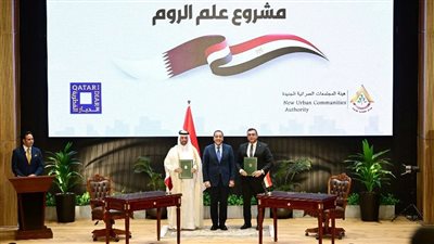 الحكومة تكشف التفاصيل المالية الكاملة لصفقة علم الروم مع قطر 