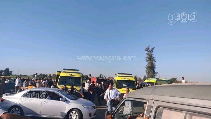 حوادث الطرق،فيتو