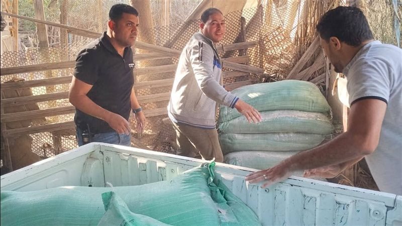 حملة تموينية بدمياط،