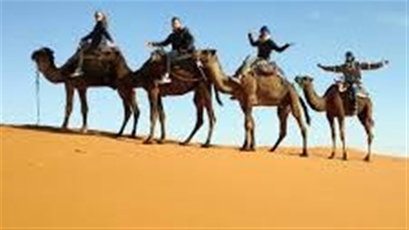عبد الرحمن الصنابحي،