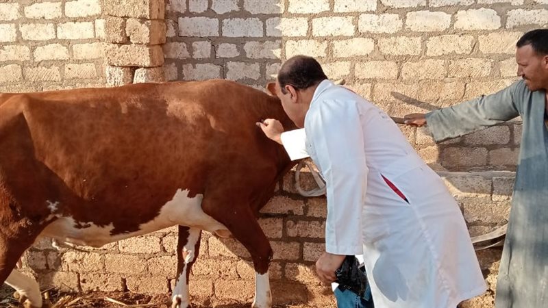 حملة تحصين ضد الأمراض