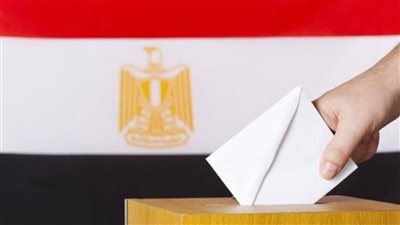 هل المشاركة في الانتخابات واجب وطني؟ رد قوي من أمين الفتوى (فيديو)