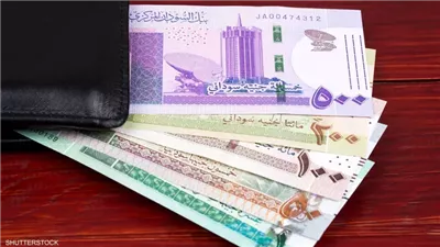 الجنيه السوداني يستقر أمام الدولار بمنتصف تعاملات اليوم 
