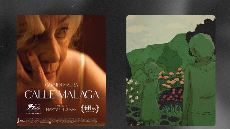 أفلام مهرجان القاهرة