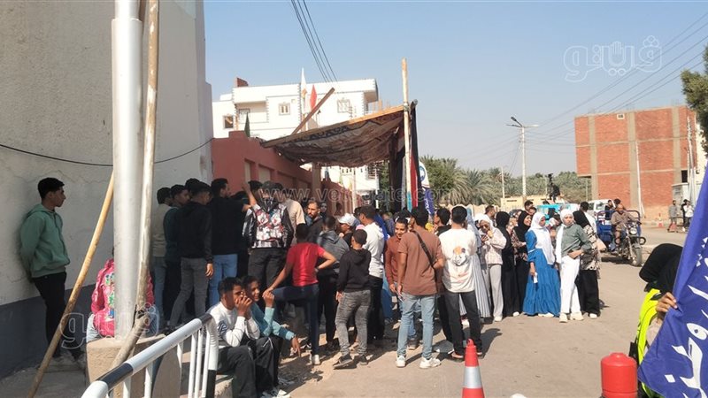 ناخبي الوادي الجديد،