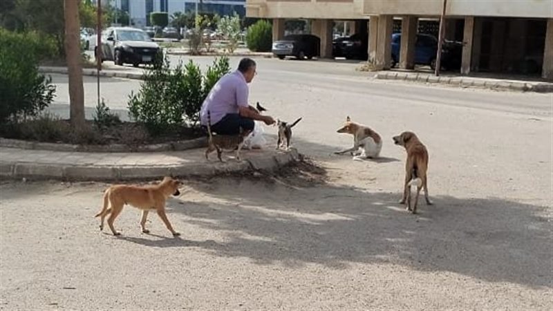 جانب من حملة التحصين،