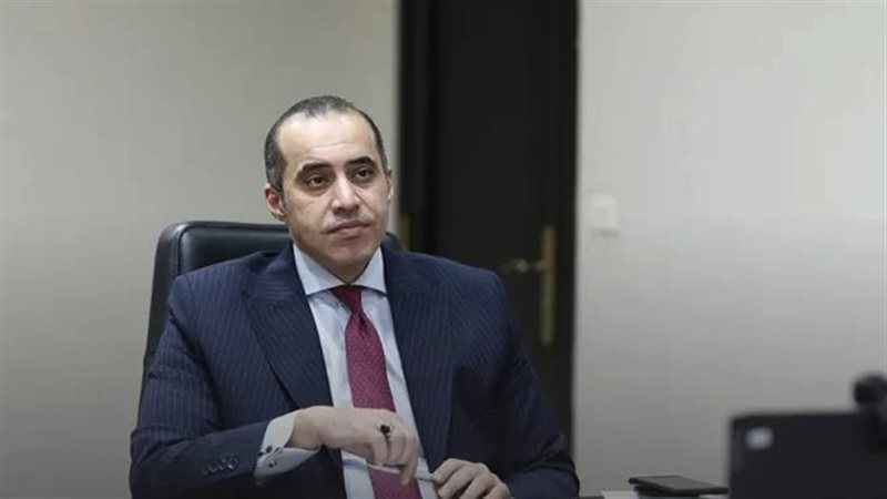 محمود فوزى، فيتو