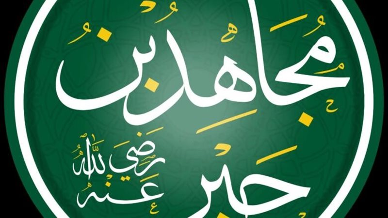 مجاهد بن جبر، فيتو