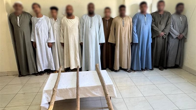 مشاجرة الأقصر أمام