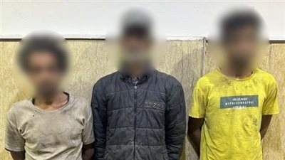 بعد تداول فيديو، ضبط متهمين بارتكاب أفعال غير لائقة أمام مدرسة بالقليوبية 
