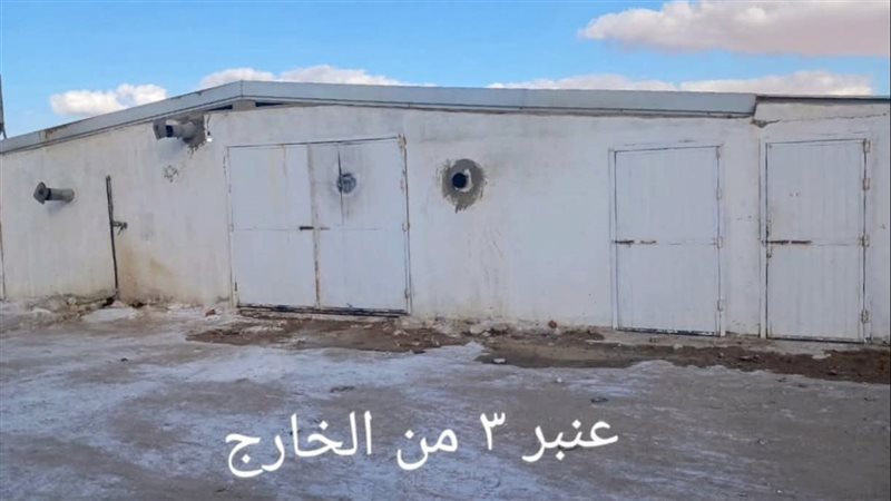 عنبر تسمين الدواجن،