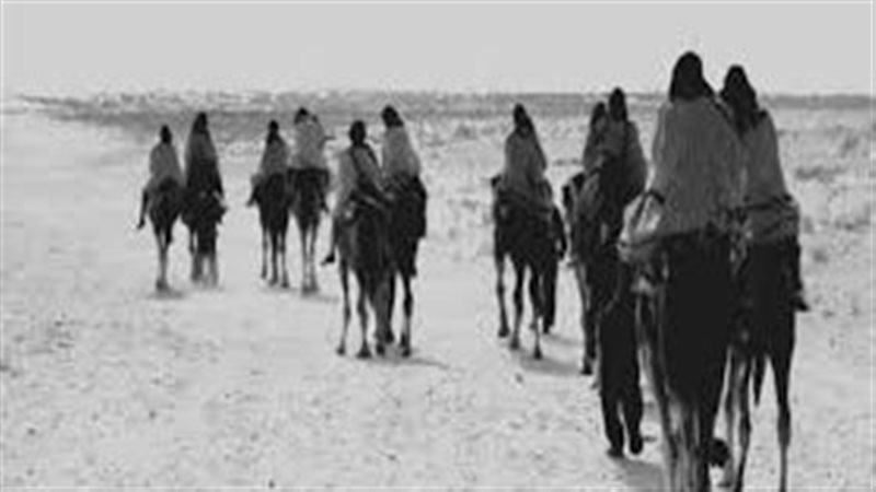 أبو بكر بن عبد الرحمن