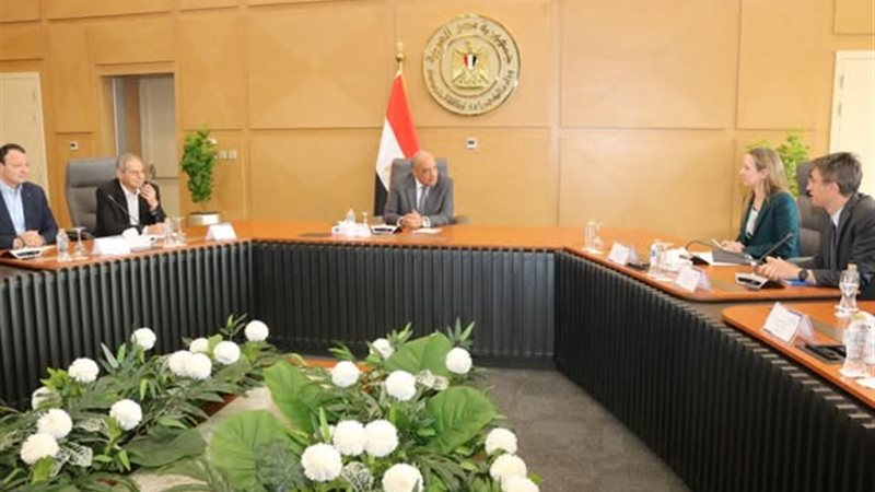وزير الكهرباء