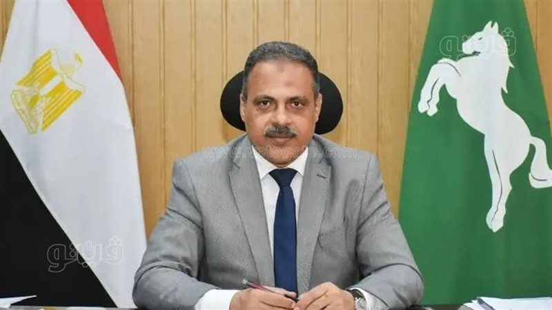 محافظ الشرقية