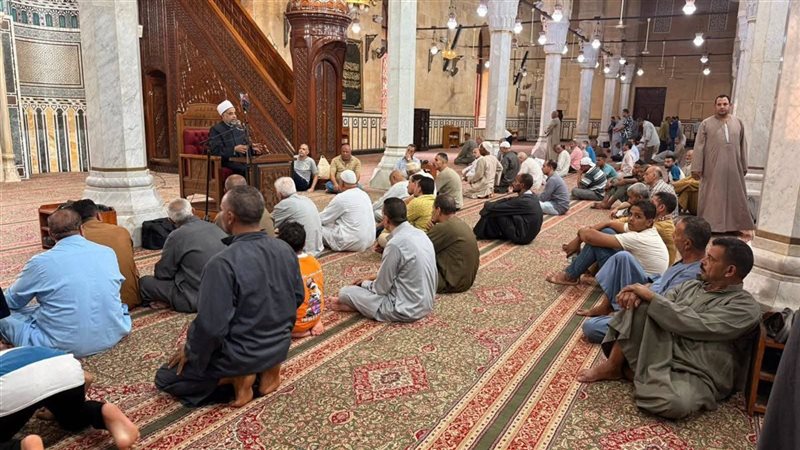 مجالس دار الإفتاء