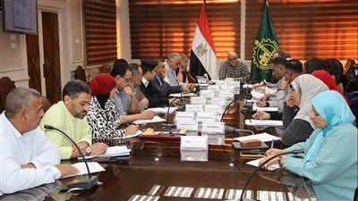 محافظة القليوبية تطرح مواقع جديدة للإعلانات لزيادة الموارد المالية