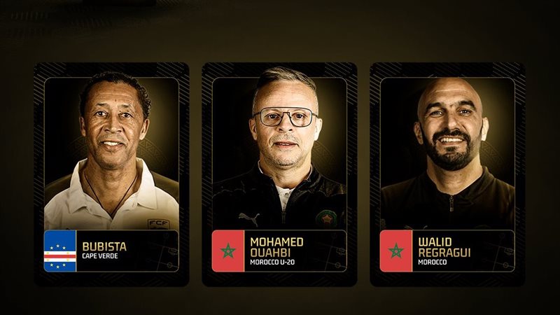 المدربون المرشحون