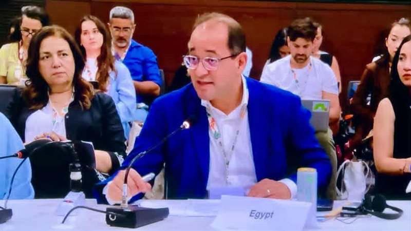 أحمد كجوك وزير المالية