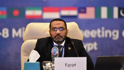 عبد الغفار: مصر تطلق أول اجتماع لوزراء صحة دول «الثماني النامية»  