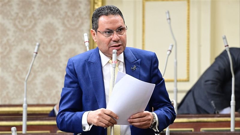 النائب هشام الحصري،
